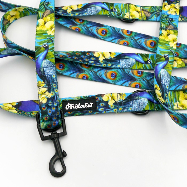 Dog Leash Peacock's Eye Psiakrew width 2.5 cm, 1" wide, snap hook black 6cm