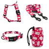 ACCESSORY KIT. Big dog. Piggy in Love Psiakrew Series; Collar, Harness, Leash, Sachet for dog treats