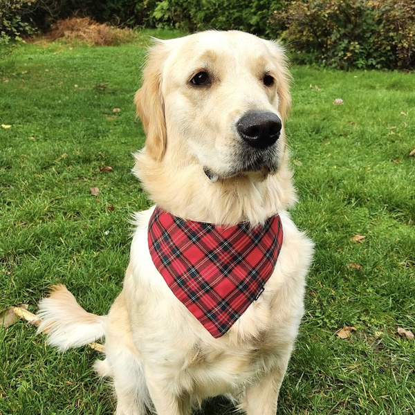 Dog Bandana Tartan handkerchief style to tie around your pet’s neck