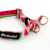 Half-choke collar Watermelon, 2 cm wide, for small dogs, golden extras