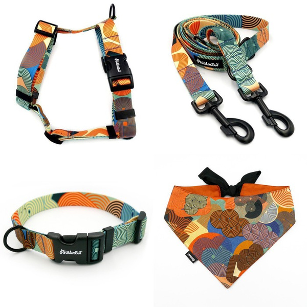 ACCESSORY KIT. Big dog. Geo Snake Psiakrew Series; Collar, Harness, Leash, Bandana