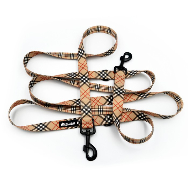 Dog Leash Dogberry Psiakrew snap hook black 8cm