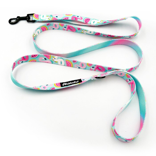 Laufleine für Hund Azure Pool Psiakrew, Breite 2 cm, schwarzer Karabinerhaken 6 cm