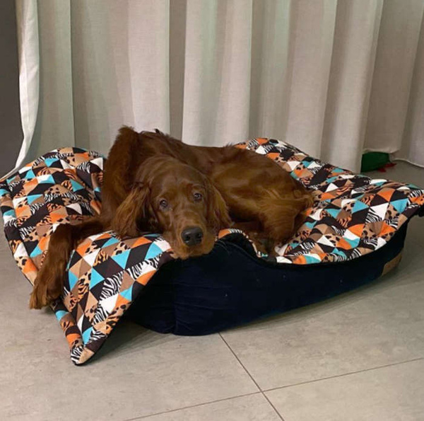 Premium Mat Plaid Blanket for the dog, Wild Animals Psiakrew Design