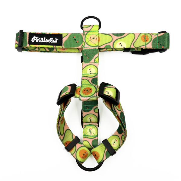 Kleines Hundeschutzgeschirr, Guacamole Time Psiakrew für kleinere Hunde, 2 cm Band, schwarze Beschläge