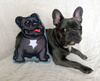 Decorative Dog Pillow Cushion French Bulldog black cuddly mascot