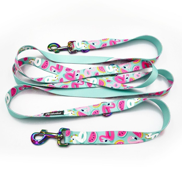 Dog Leash -Azure Pool, width 2.5 cm, 1"  wide, holo snap hook 8cm, Psiakrew