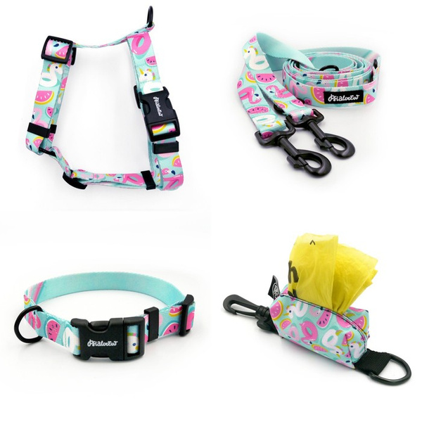 ACCESSORY KIT. Big dog. Azure Pool Psiakrew Series; Collar, Harness, Leash, Pouch