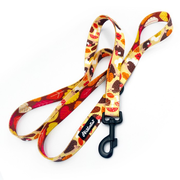 City Walking Leine für Dog Hedgehog Dreamer, Breite 2,5 cm, großer, starker schwarzer Karabiner