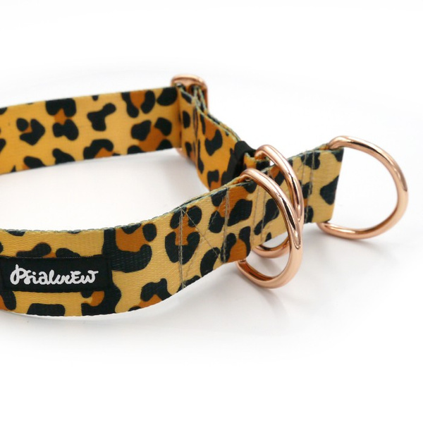 Tarzan Half-Clamp-Halsband, 4 cm breit, für mittlere und größere Hunde, goldene Beschläge