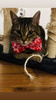 Christmas Dog Bow Tie Snowflake, Pet Bow Tie, Bowtie, Collar Attachment