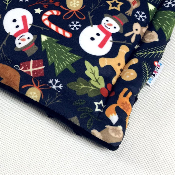 Świąteczny Kocyk mata pled dla psa, zimowy wzór Idzie Zima, polar Minky