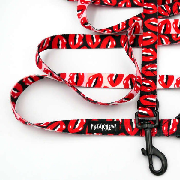 Long Dog Leash Lipstick width 2 cm (0.78") wide, black snap hook