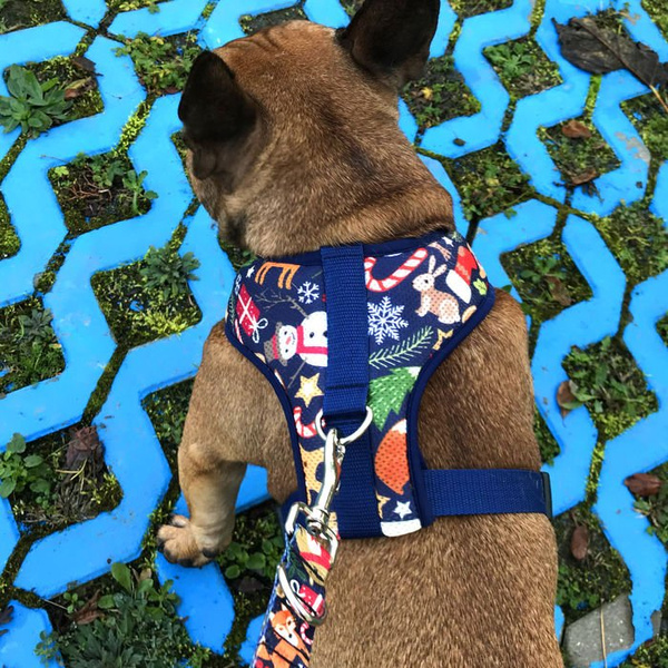 Dog Harness, Always Feeling Cool, Super Soft Psiakrew Winter is coming