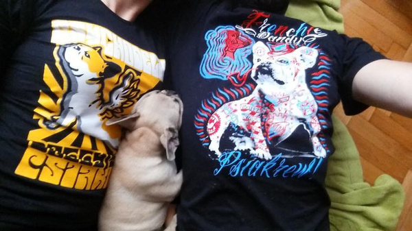 Koszulka męska Pies Bulldog Francuski Dandy Psiakrew