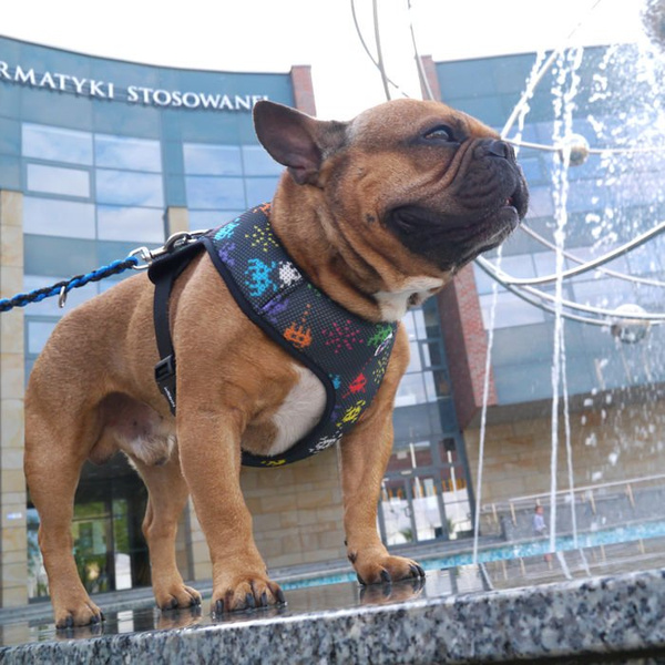 Dog Harness Invaders Psiakrew, Always Feeling Cool, Super Soft