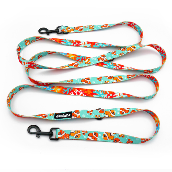 Long Dog Leash Blue Lagoon Psiakrew width 2 cm (0.78"), black snap hook 7 cm (3,15")