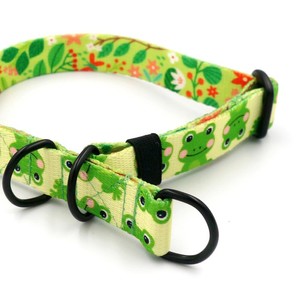 Half-Choke-Halsband Green Frogs, 2 cm breit, für kleine Hunde, schwarze Accessoires
