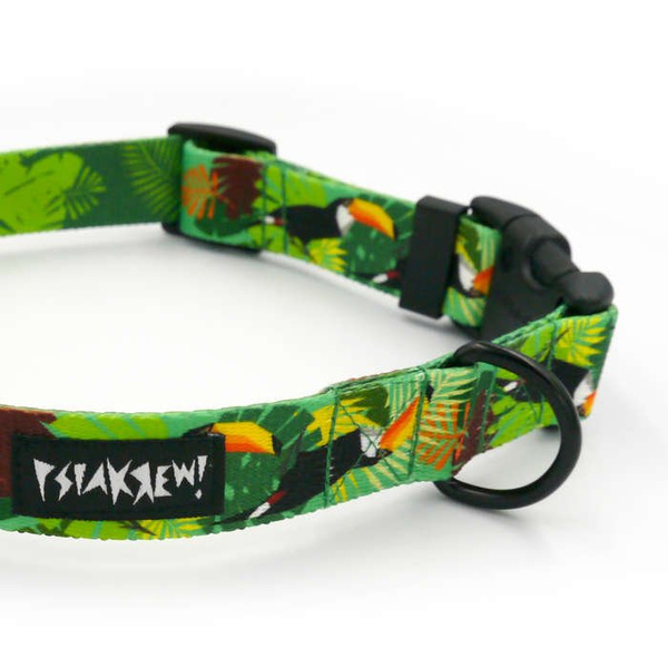 Dog Collar Psiakrew Toucan 2.5 cm 1" wide, black extras