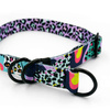 Half-choke collar Crazy Leopard, 2.5 cm wide, medium and big dogs, black extras