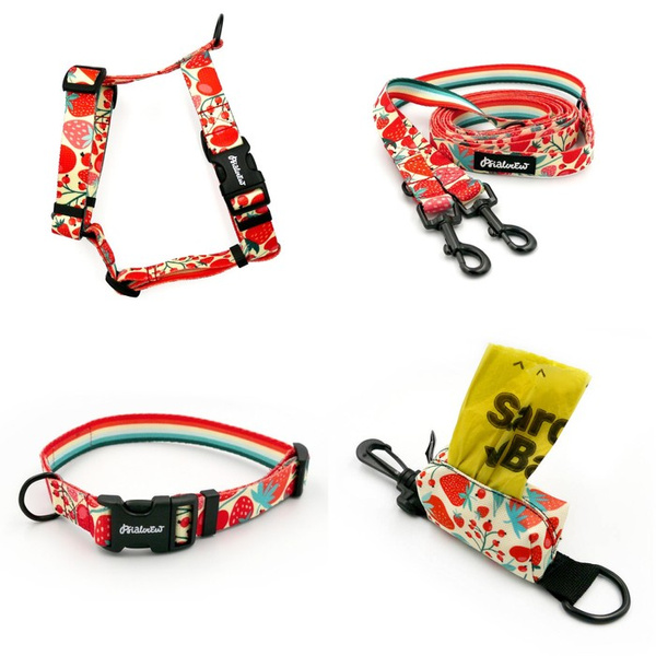 ACCESSORY KIT. Small dog. Fruit Jelly Psiakrew Series; Collar, Harness, Leash, Pouch