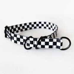Half-choke collar Checker, 2.5 cm wide, medium and big dogs, black extras