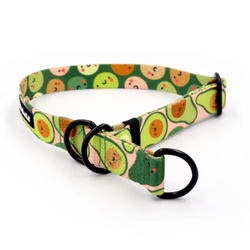 Half-choke collar Guacamole Time Psiakrew, 2.5 cm wide, medium and big dogs, black extras