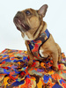 Dog Harness Colorful Thicket Psiakrew, Always Feeling Cool, Super Soft 