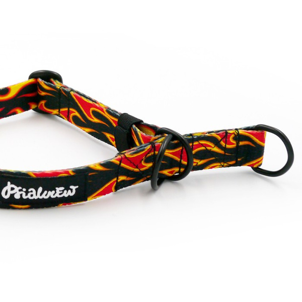 Obroża półzaciskowa w płomienie Dog On Fire szeroka na 2 cm, dla małych psów, czarne dodatki