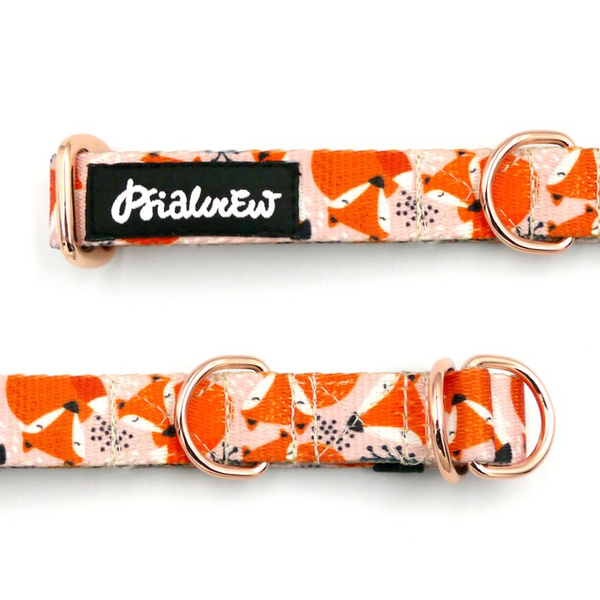 Half-choke collar Foxy Lady, 2 cm wide, for small dogs, golden extras