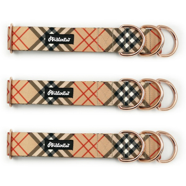 Dogberry Half-Clamp-Halsband, 4 cm breit, für mittlere und größere Hunde, goldene Beschläge