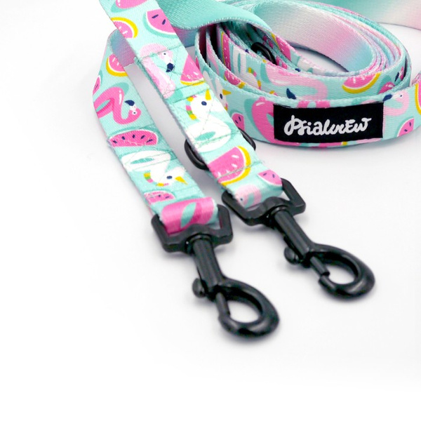 Long Dog Leash Azure Pool Psiakrew width 2 cm (0.78"), black snap hook 6 cm