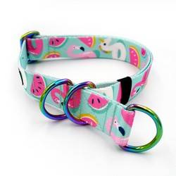 Obroża półzaciskowa Azure Pool szeroka na 2,5 cm, dla średnich i większych psów, holo okucia