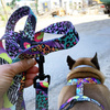 Dog Leash Crazy Leopard width 2.5 cm, 1"  wide, snap hook black 8cm