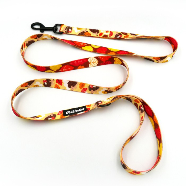 City-Leine für Dog Hedgehog Dreamer Breite 2 cm, schwarzer Karabiner 7 cm