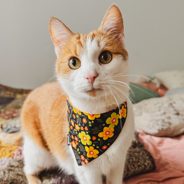 Dog Bandana Meadow Psiakrew handkerchief style to tie around your pet’s neck