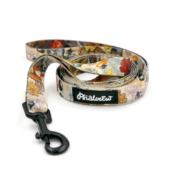 Walking leash for Dog Forest Treasures Psiakrew, width 2 cm, black snap hook 6 cm