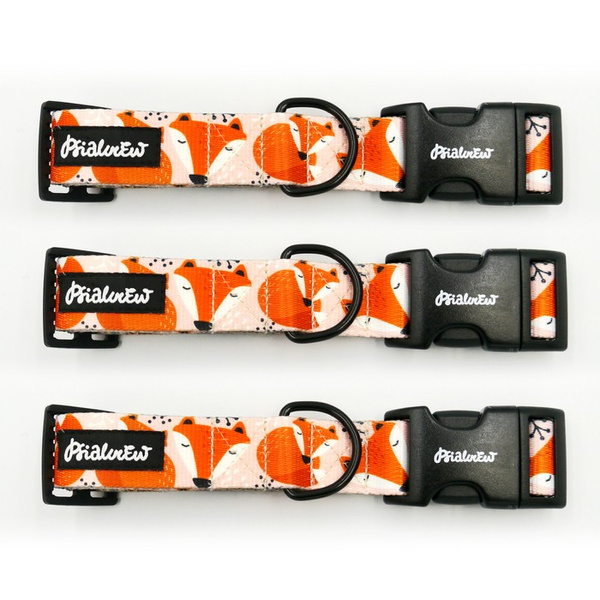 Verstellbares Hundehalsband- Foxy Lady, 3 cm breit für mittelgroße und große Hunde