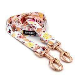 Dog Leash Hot Sweetness width 2.5 cm, 1"  wide, pink gold, big snap hook 8 cm