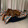 Premium Mat Plaid Blanket for the dog, Wild Animals Psiakrew Design