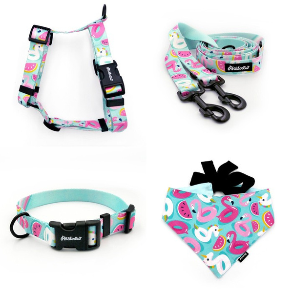 ACCESSORY KIT. Big dog. Azure Pool Psiakrew Series; Collar, Harness, Leash, Bandana