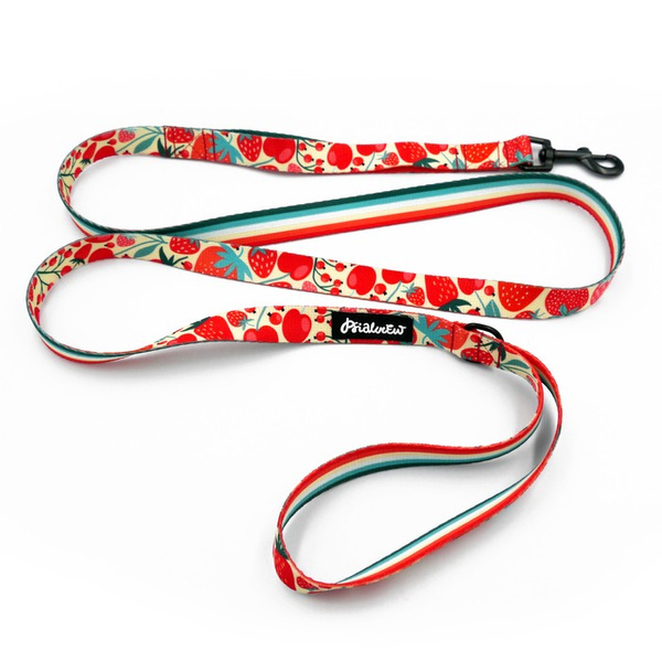 Walking leash for Dog Fruit Jelly Psiakrew, width 2 cm, black snap hook 6 cm