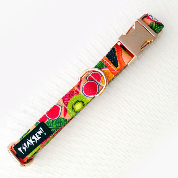 Obroża dla Psa Regulowana Tutti Frutti, wąska 2 cm, dla mniejszych psów i szczeniaków