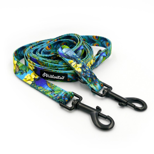 Long Dog Leash Peacock's Eye Psiakrew width 2 cm (0.78"),  black snap hook 7 cm (3,15")