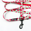 Dog Leash Watermelon width 2 cm wide, black snap hook 7 cm