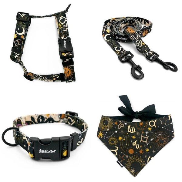 ZUBEHÖRSATZ. Großer Hund. Zodiak Psiakrew-Serie; Halsband, Geschirr, Leine, Bandana