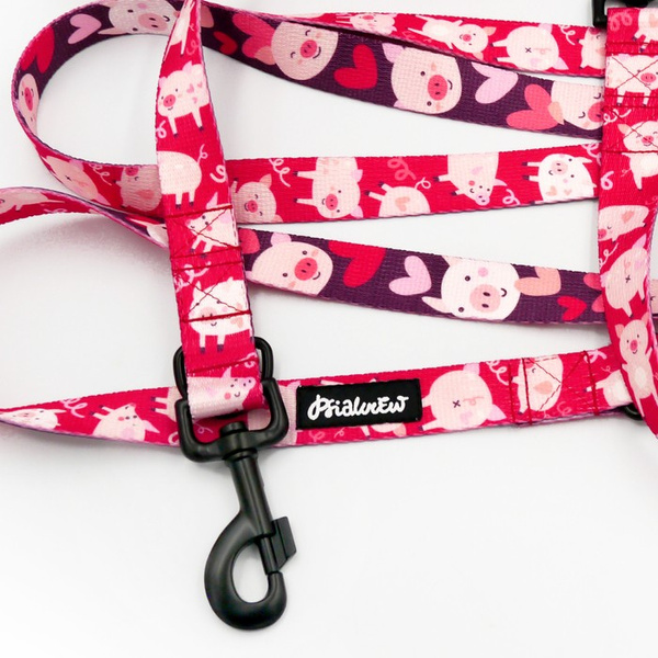 Lange abnehmbare Hundeleine Piggy in Love Psiakrew, Band 2,5 cm, Karabiner 8 cm, schwarz