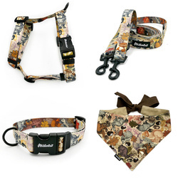 ZUBEHÖRSATZ. Mittlerer Hund. Forest Treasures Psiakrew - Serie; Halsband, Geschirr, Leine, Bandana