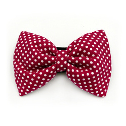 Burgund Hundefliege mit weißen Punkten, elegante klassische Psiakrew-Schleife