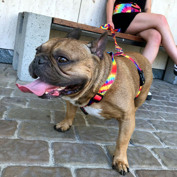 Nerka Biodrowa Saszetka Tie-Dye